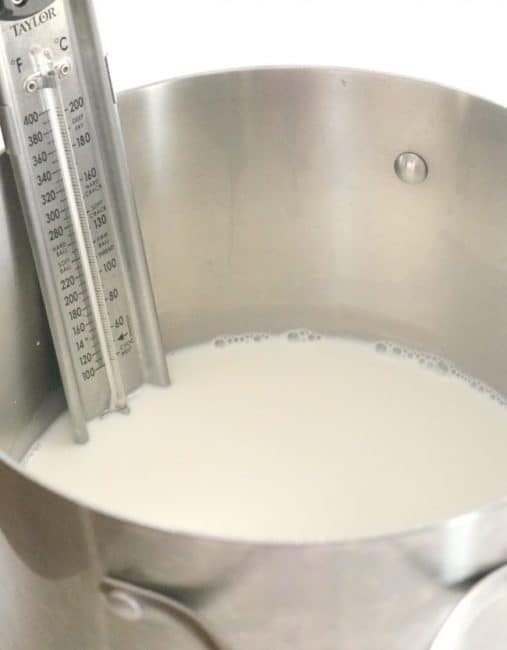 A pan of milk and cream fitted with a thermometer for reading the temperature to slowly bring the milk to a boil to make whole milk ricotta cheese. 