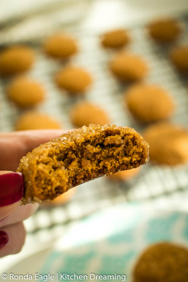 A molasses cookie with a bite taken out of it revealing the soft, chewy center.