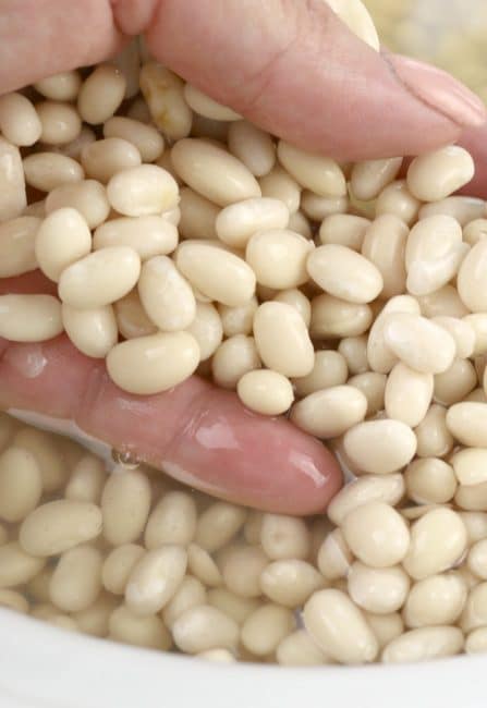 An image of navy beans after they have been soaked overnight in water.