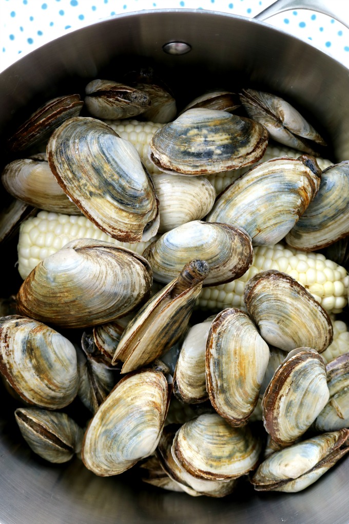 Add the Steamer Clams