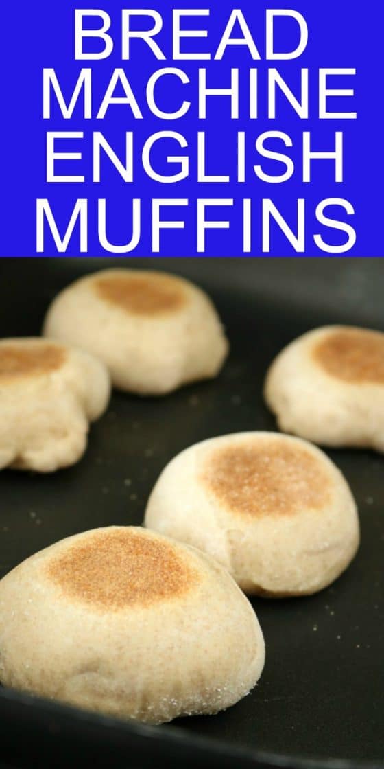 English Muffins