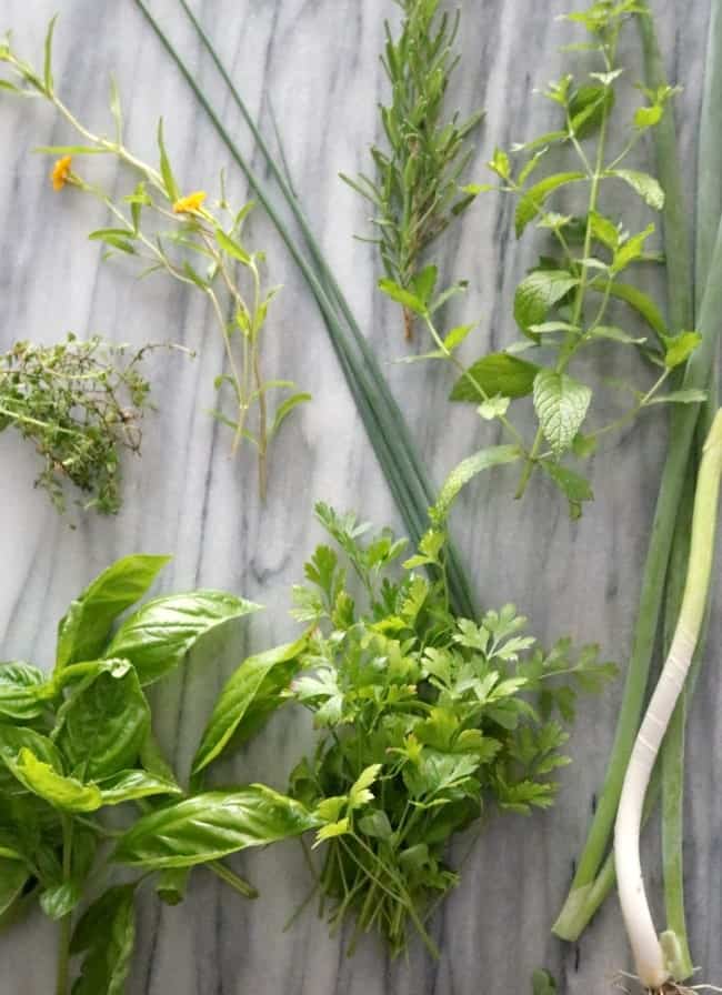 Recipe Rescue: Common Herb Substitutes with conversions from fresh herbs to dried herbs. 