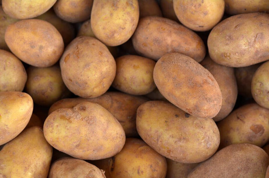 An image of Russet potatoes.
