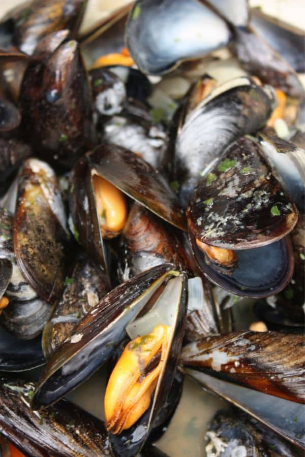 A close up photos of mussels in white wine.