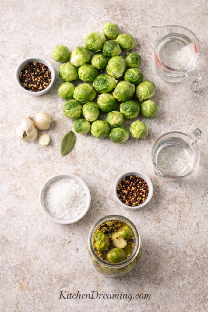 Pickled Brussel Sprouts (Easy Refrigerator Method) 3 Flat lay of ingredients for pickled Brussels sprouts, including Brussels sprouts, vinegar, water, salt, garlic, mustard seeds, and peppercorns for refrigerator pickled Brussels sprouts.